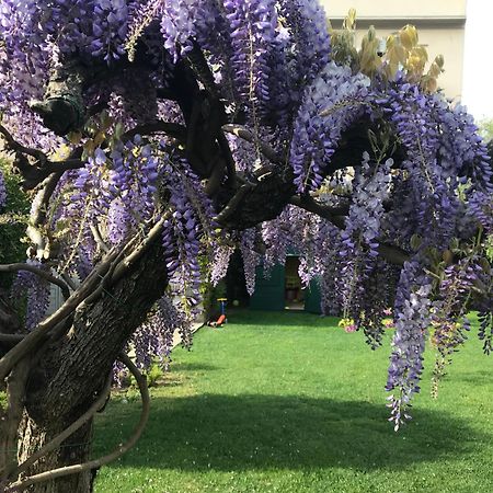 Villa Marlene B&B Albenga Ngoại thất bức ảnh