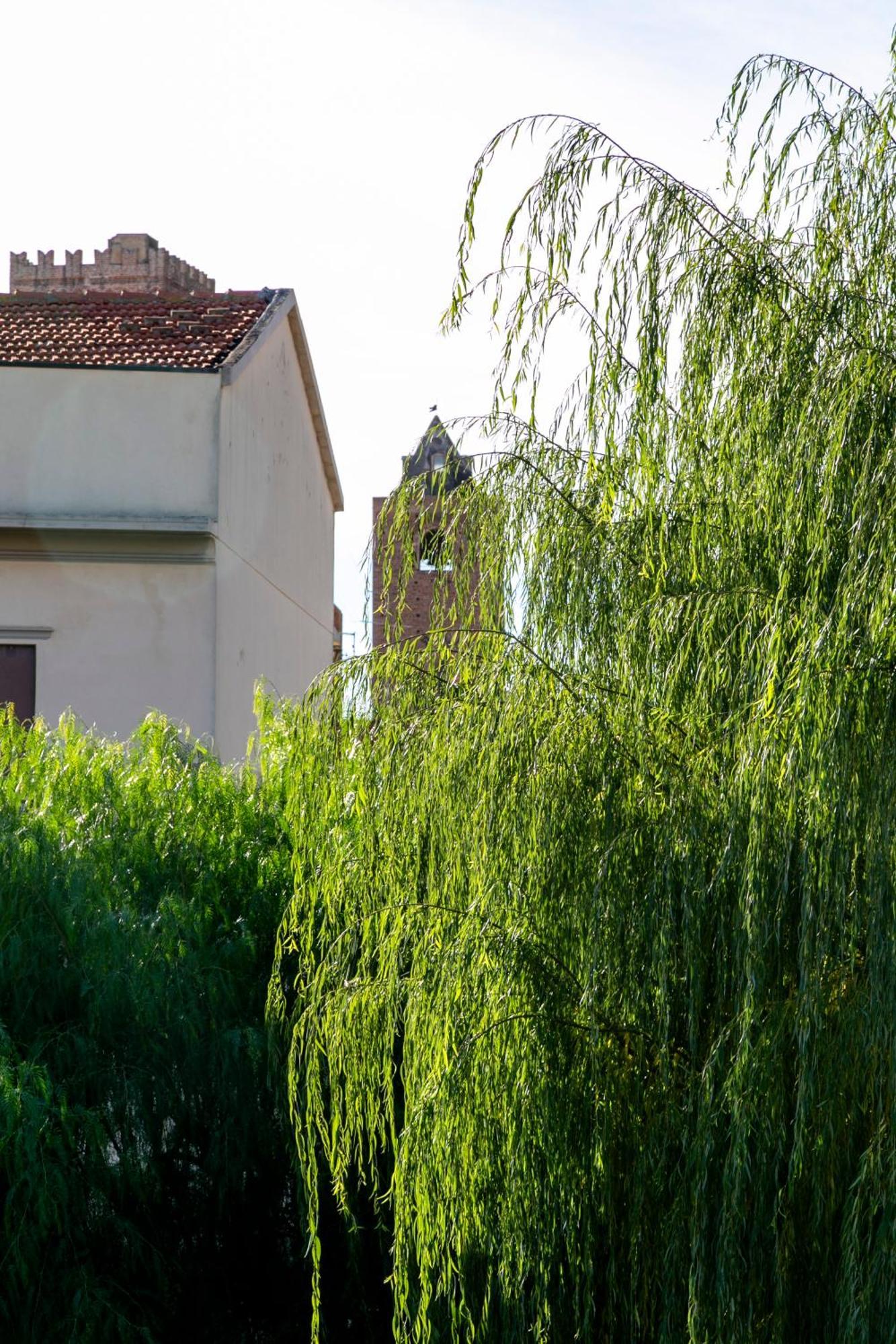 Villa Marlene B&B Albenga Ngoại thất bức ảnh