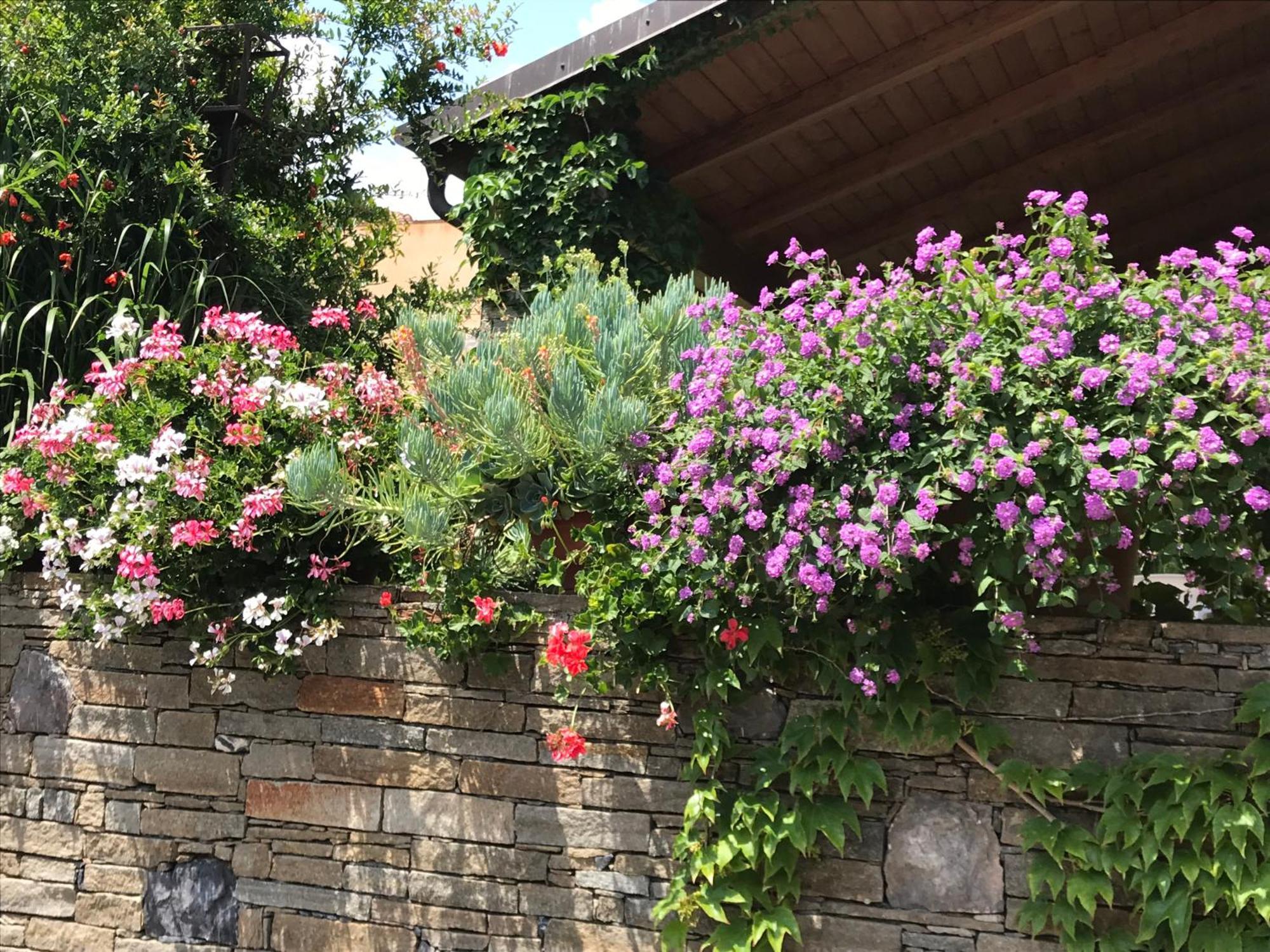 Villa Marlene B&B Albenga Ngoại thất bức ảnh